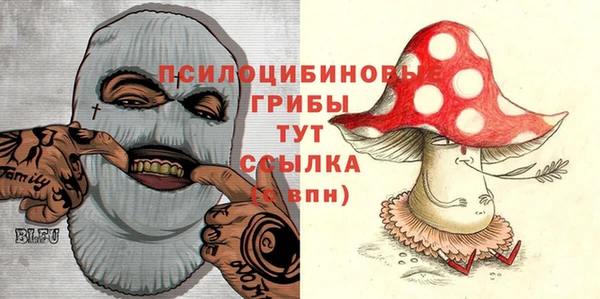 МДПВ Абаза