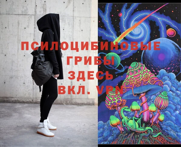МДПВ Абаза