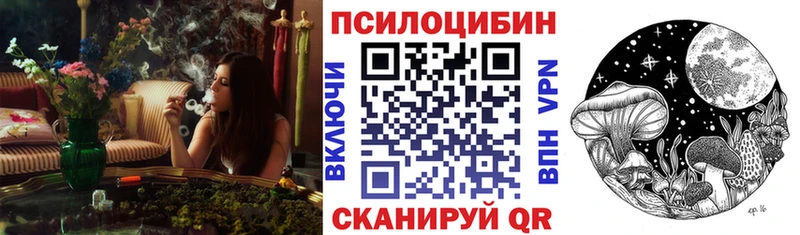 купить наркотик  Братск  Псилоцибиновые грибы Magic Shrooms 