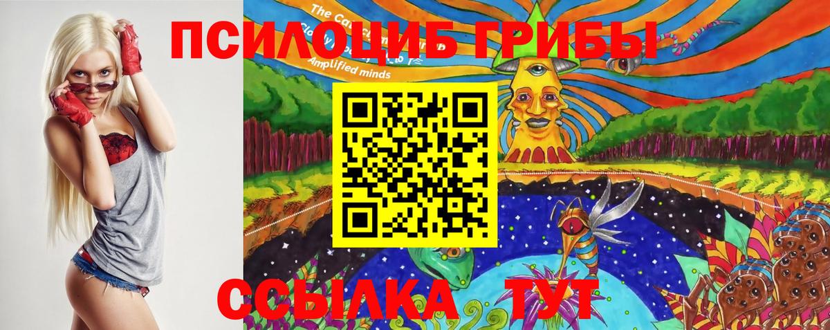Галлюциногенные грибы GOLDEN TEACHER  Вход с VPN  Братск  Галлюциногенные грибы ЛСД 